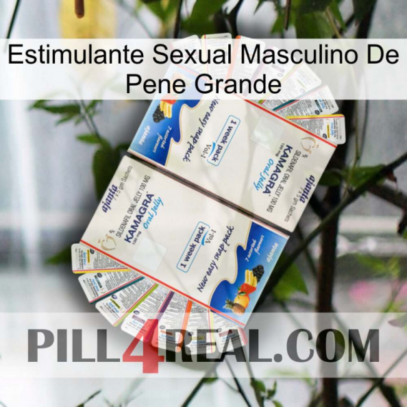 Big Penis Male Sexual Stimulant kamagra1.jpg